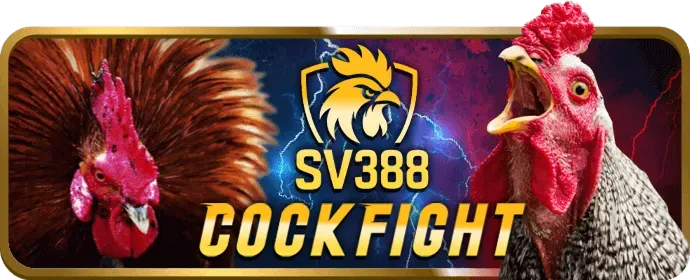 Chương trình VIP và khách hàng thân thiết 33win4 Nổ Hũ